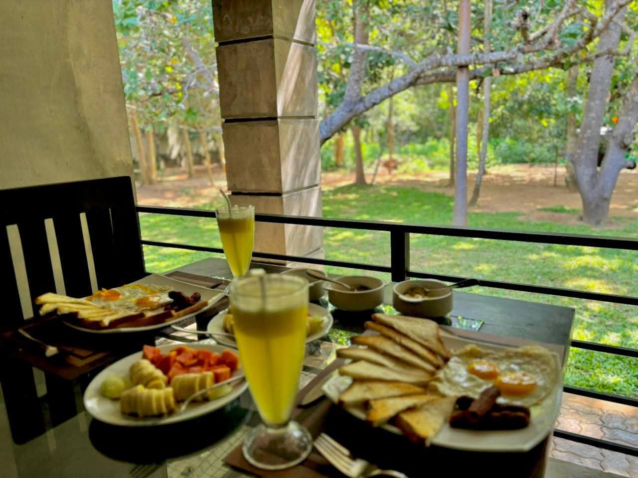 Breakfast with fresh juice and forest view