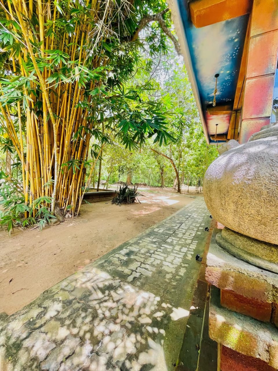 Bamboo grove and stone pathway through the grounds